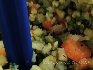 Rata aux carottes, petits pois et pommes de terre au boeuf 3