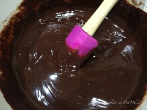 gâteau au chocolat et pépites de chocolat  au micro-onde